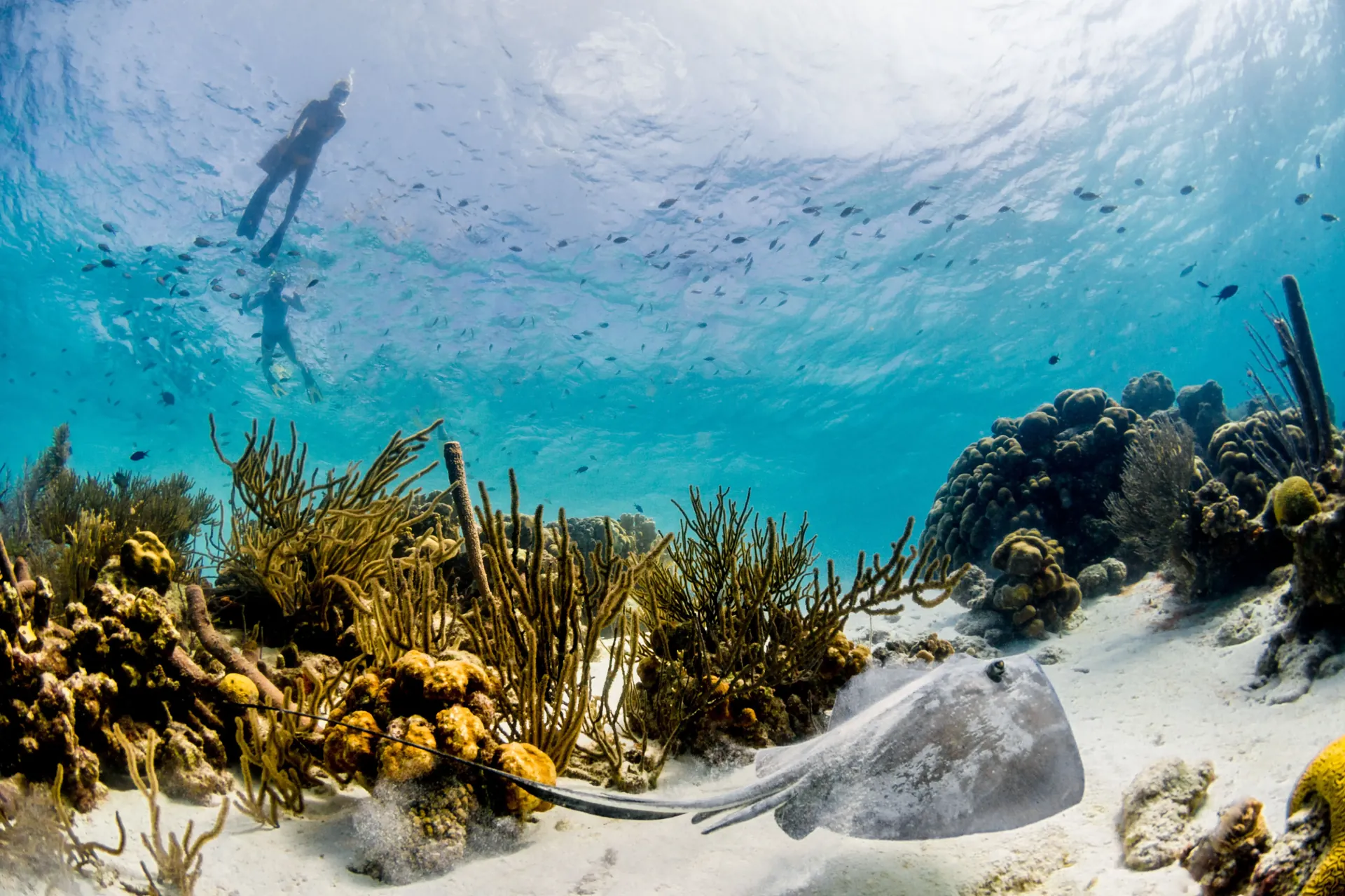 Bonaire National Marine Park