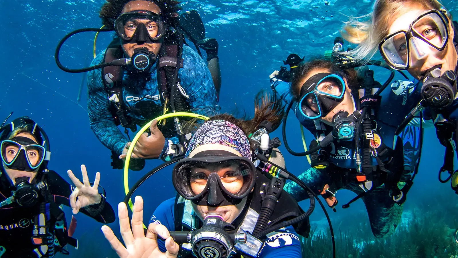 Dive-Friends Kralendijk Bonaire