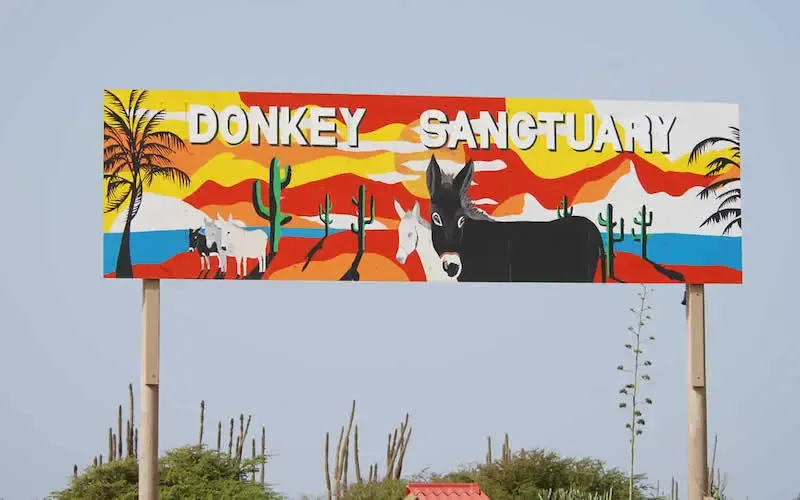 Donkey Sanctuary Bonaire