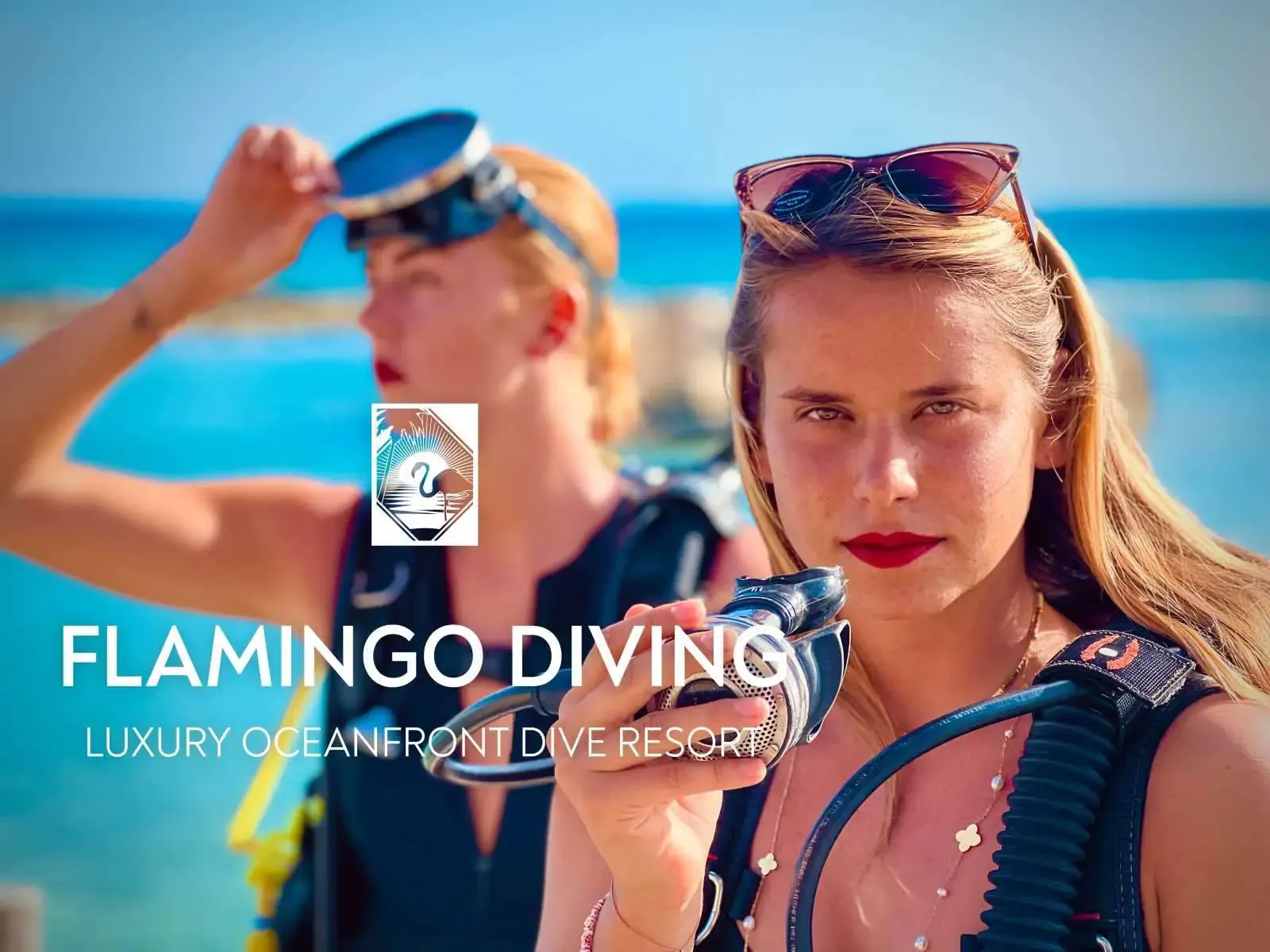 Flamingo Diving Kralendijk Bonaire