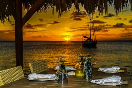 A Feast for the Senses