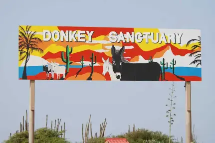 Donkey Sanctuary Bonaire