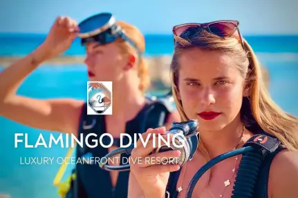 Flamingo Diving Kralendijk Bonaire